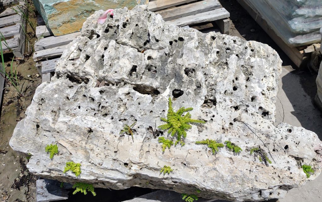 Moon Rocks Florida Moon Rock - Superior Stone Distributors Naples FL